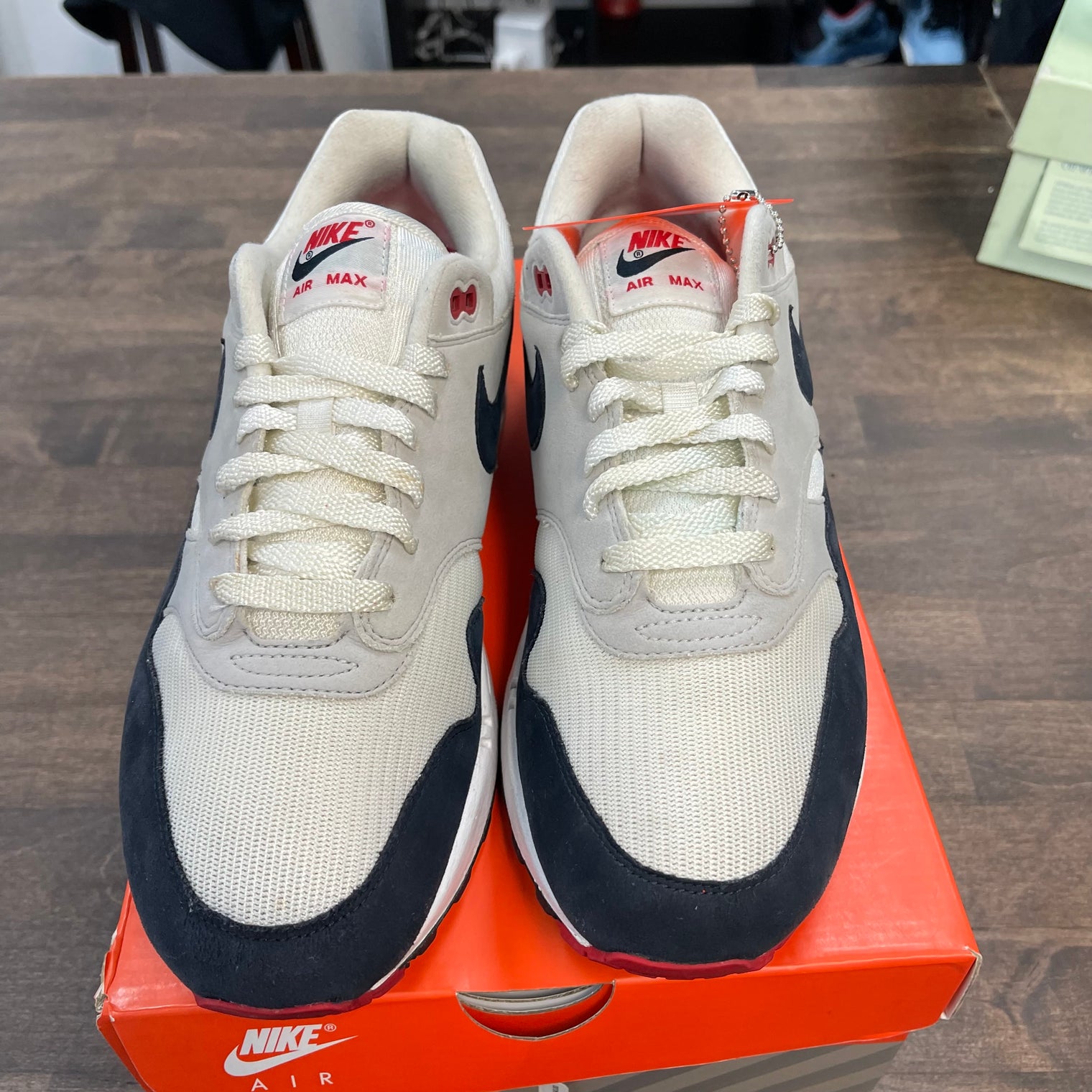 Obsidian Nike Air Max 1 (USED)