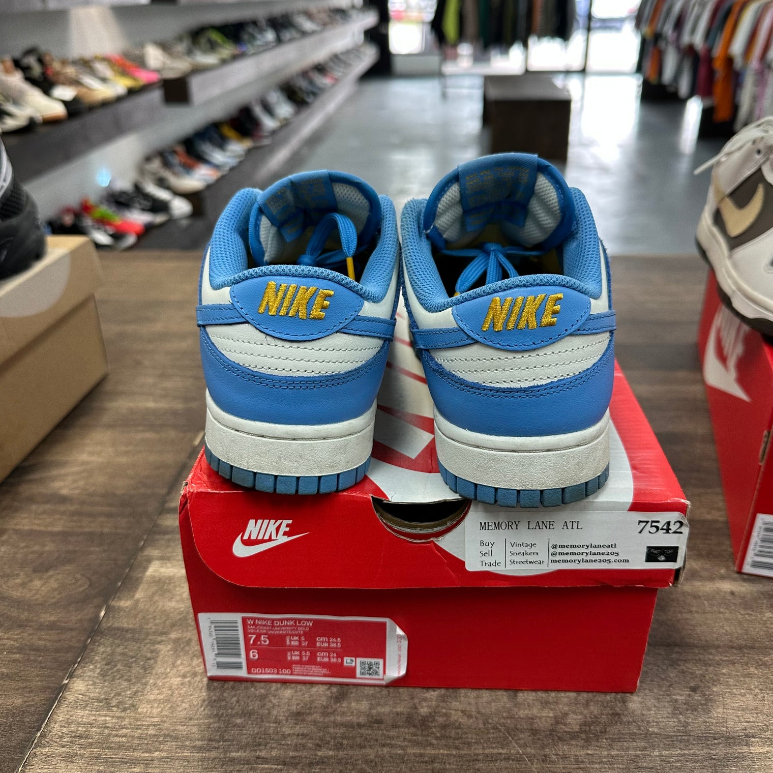 Coast Dunk Low (W) (USED)