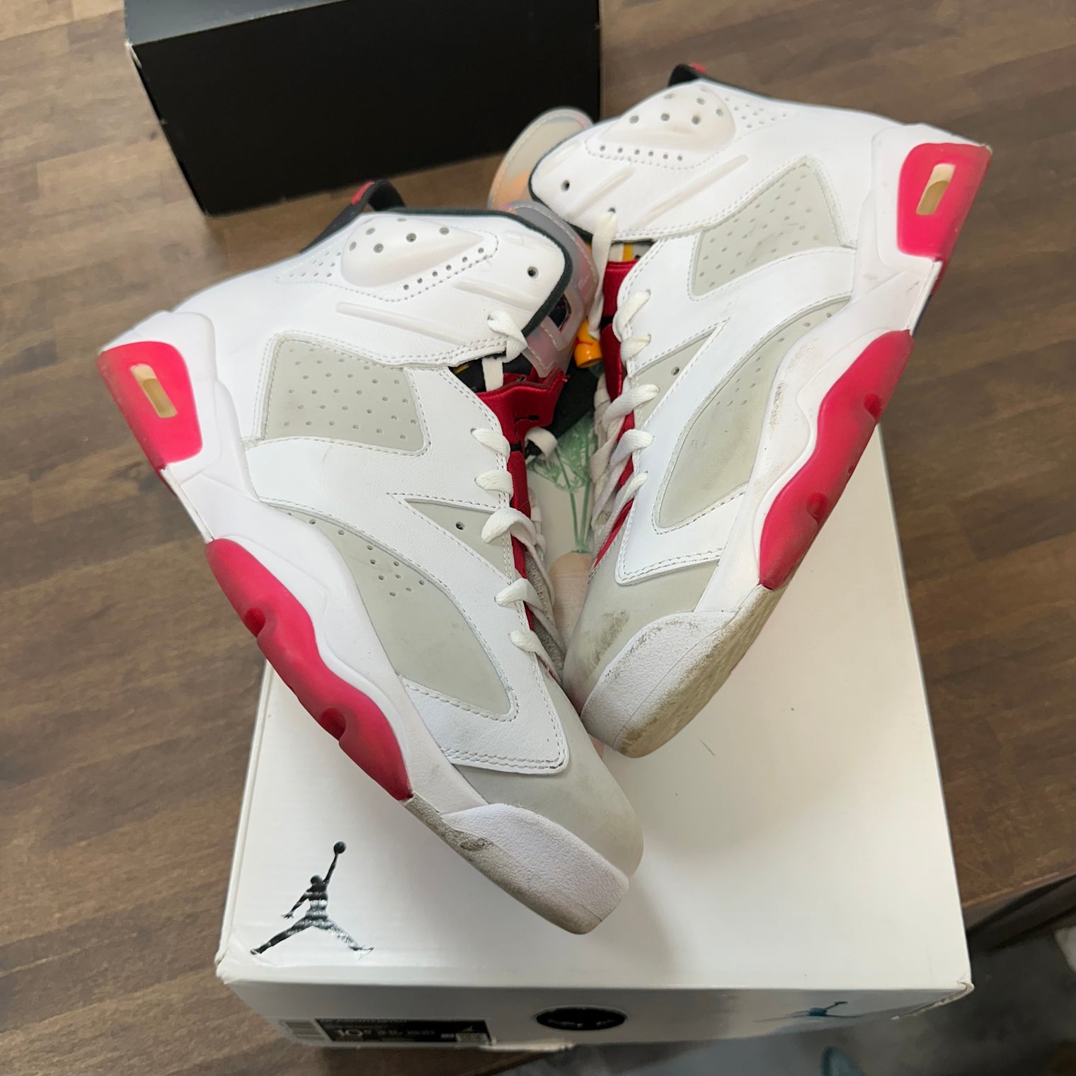 Hare Jordan 6 (USED)