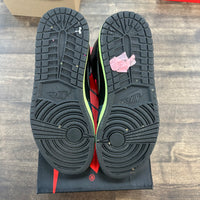 Bio Hack Jordan 1 High (USED)