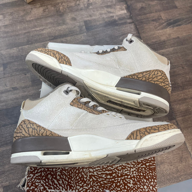 Palomino Jordan 3 (USED)