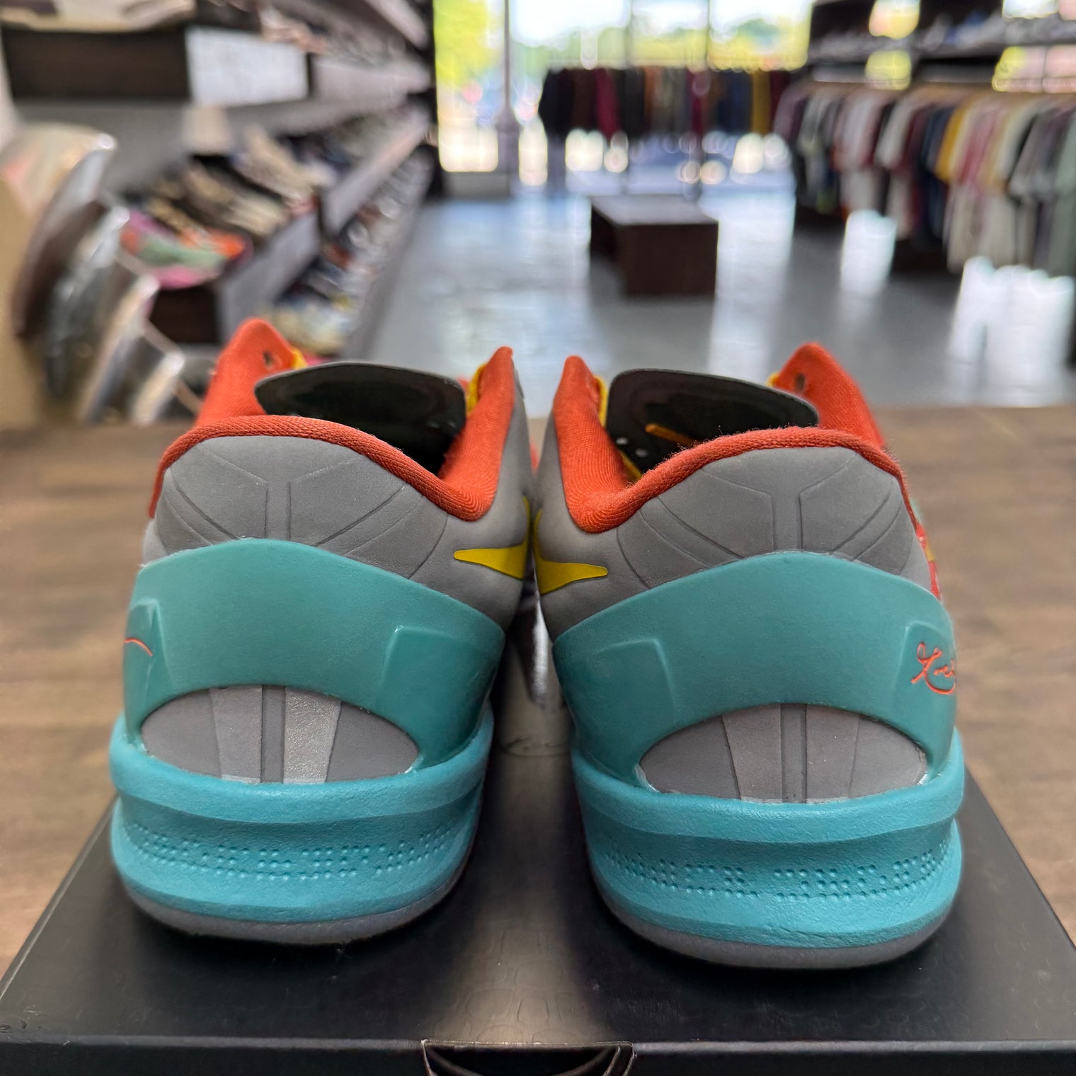 Venice Beach Kobe 8 Protro (2024) (USED)
