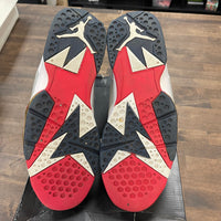 Olympic Jordan 7 Retro (USED)