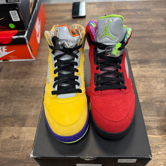 What The Jordan 5 Retro (Lightly Worn)