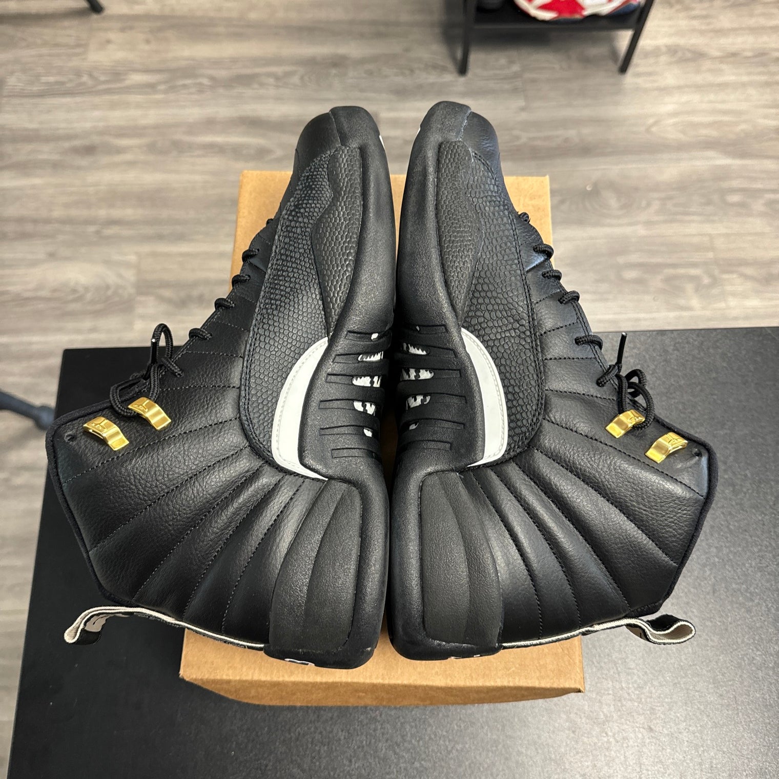 Master Jordan 12 (USED, no box)