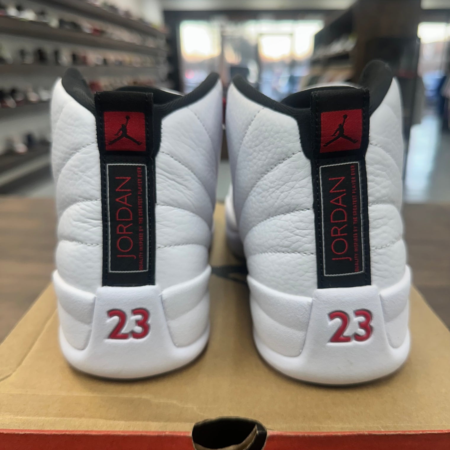 Twist Jordan 12 (USED, No Box)