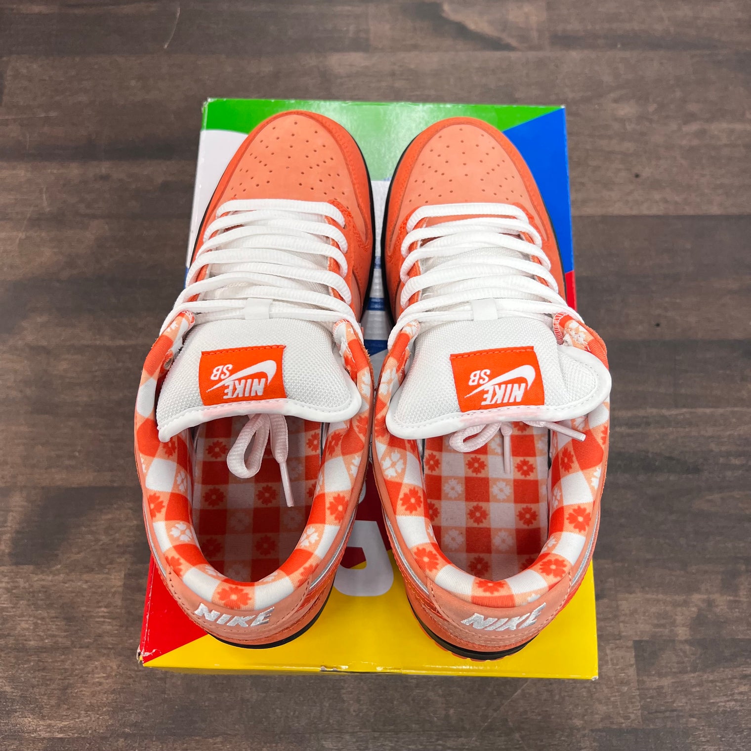 Orange Lobster Sb Dunk Low (USED)