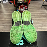 Premier Northern Lights Nike SB Dunk High (USED)