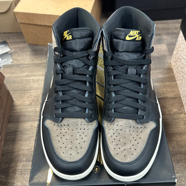 Palomino Jordan 1 High (USED)
