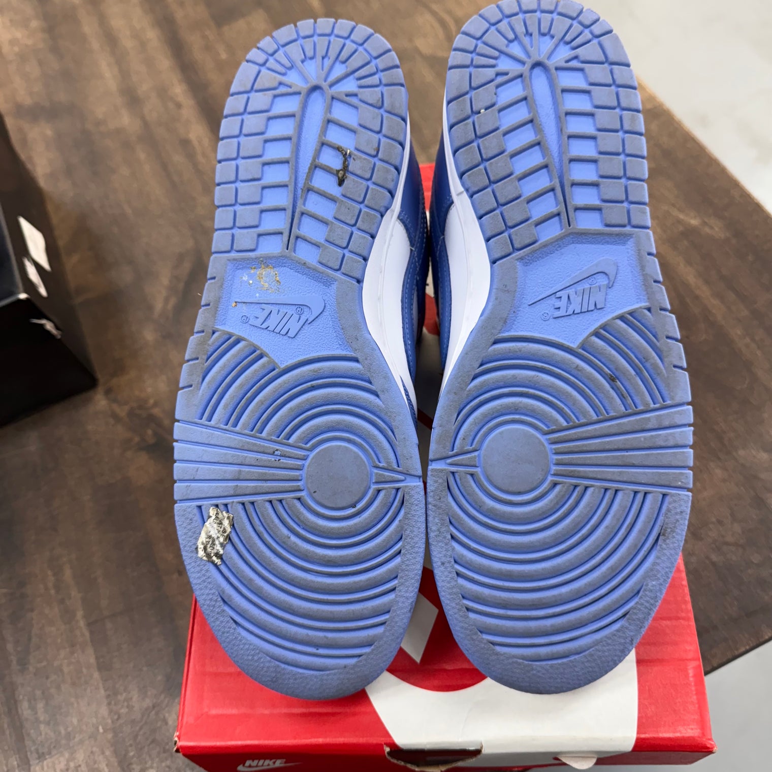 Polar Blue Nike Dunk Low (USED)