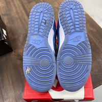 Polar Blue Nike Dunk Low (USED)