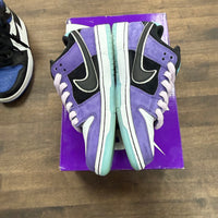 Hayley Wilson Nike SB Dunk Low (USED)