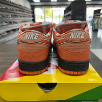 Orange Lobster SB Dunk Low (USED)