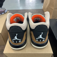 Desert Elephant Jordan 3 (USED, No Box, No Insoles)