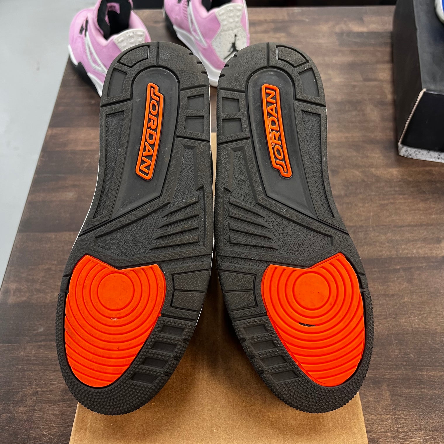 Fear Jordan 3 2024 (USED, No Box)