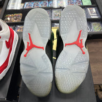 Champagne Jordan 6 (USED)