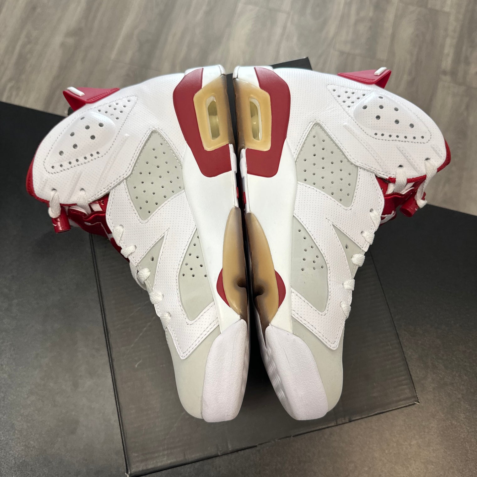 Alternate Hare Jordan 6 (USED)