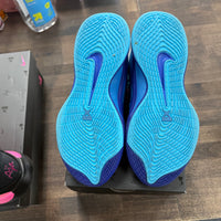 Nike A'ja Wilson A'One Indigo Girl (W) (USED)
