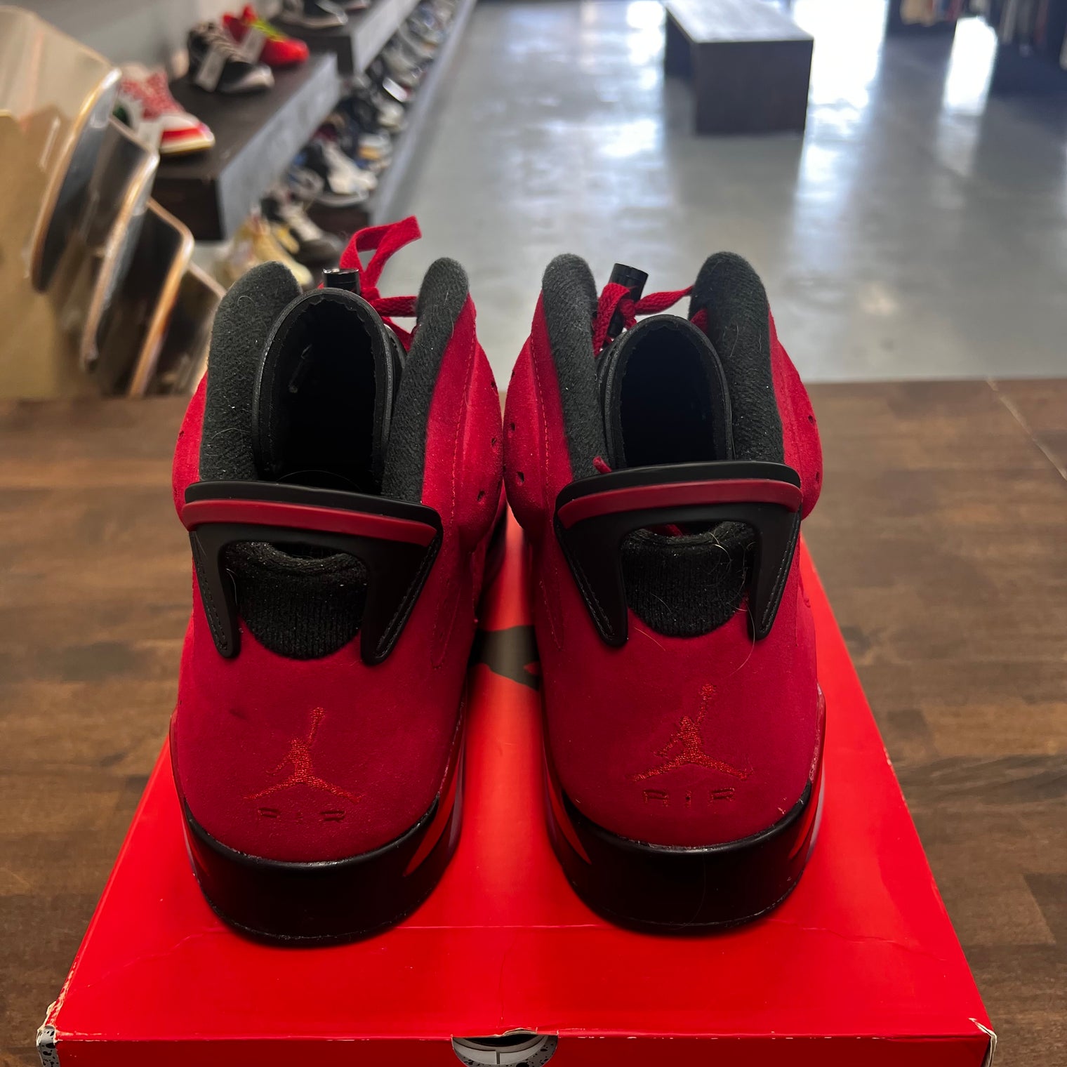 Toro Bravo Jordan 6 (USED)