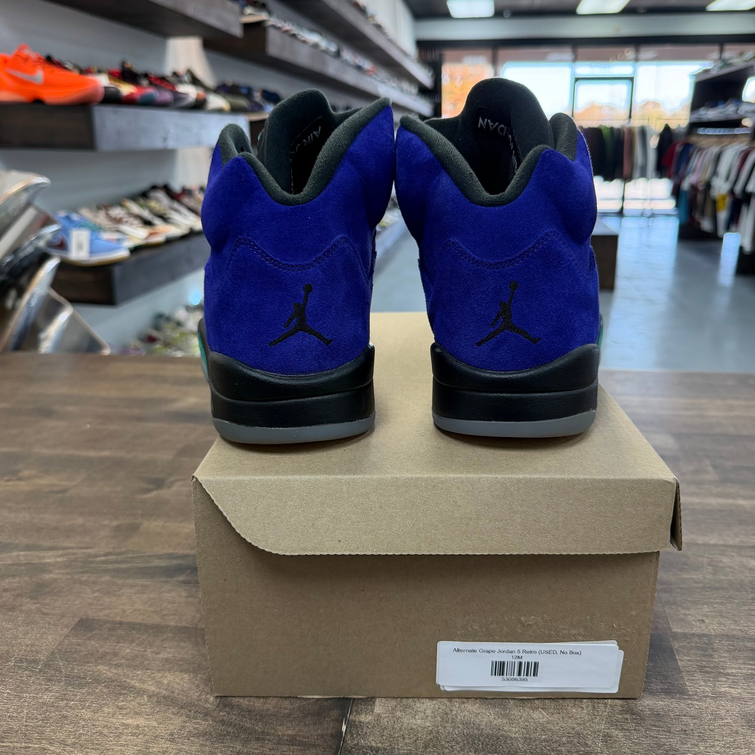 Alternate Grape Jordan 5 Retro (USED, No Box)