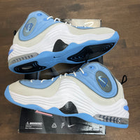 Social Status Playground University Air Penny 2
