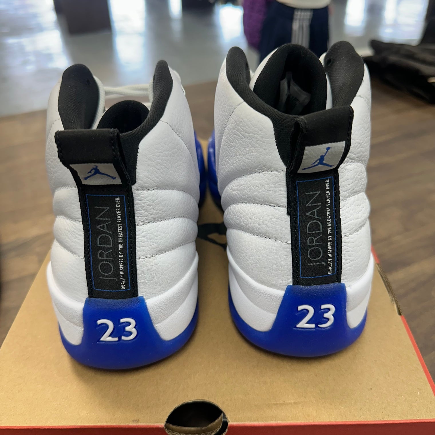 Blueberry Jordan 12 (Lightly Worn)