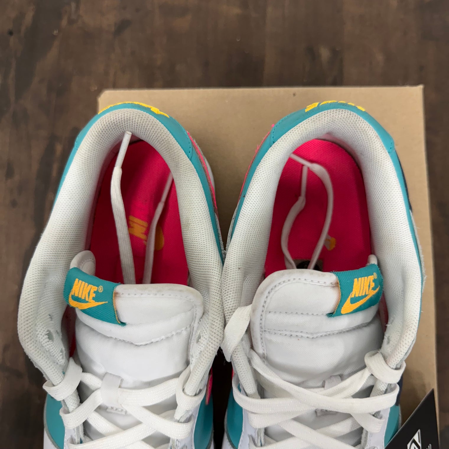 Dusty Cactus Nike Dunk Low (USED,No Box)