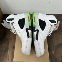Poison Jordan 5 (Used, No Box)
