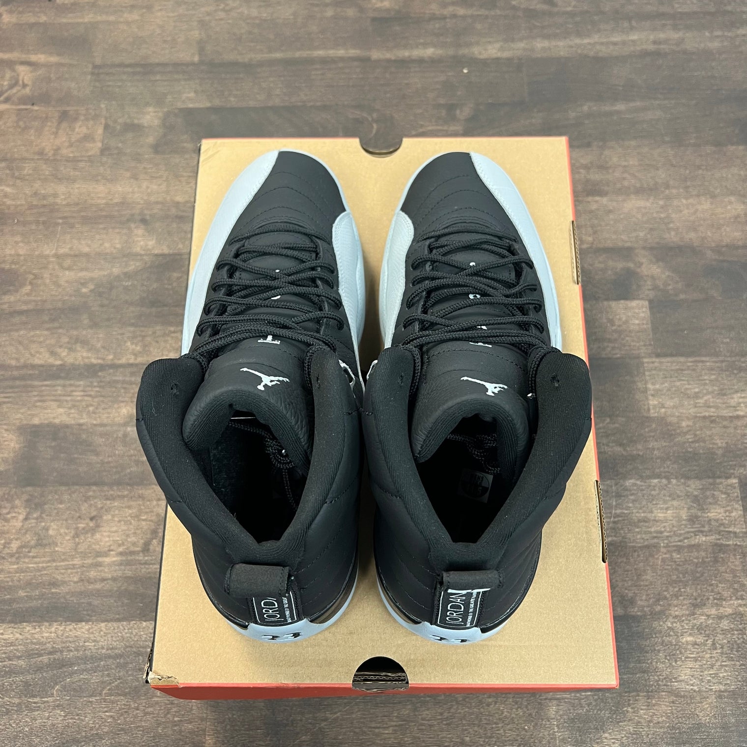Baron Jordan 12 (USED)