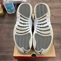 Stealth Jordan 12 (USED)
