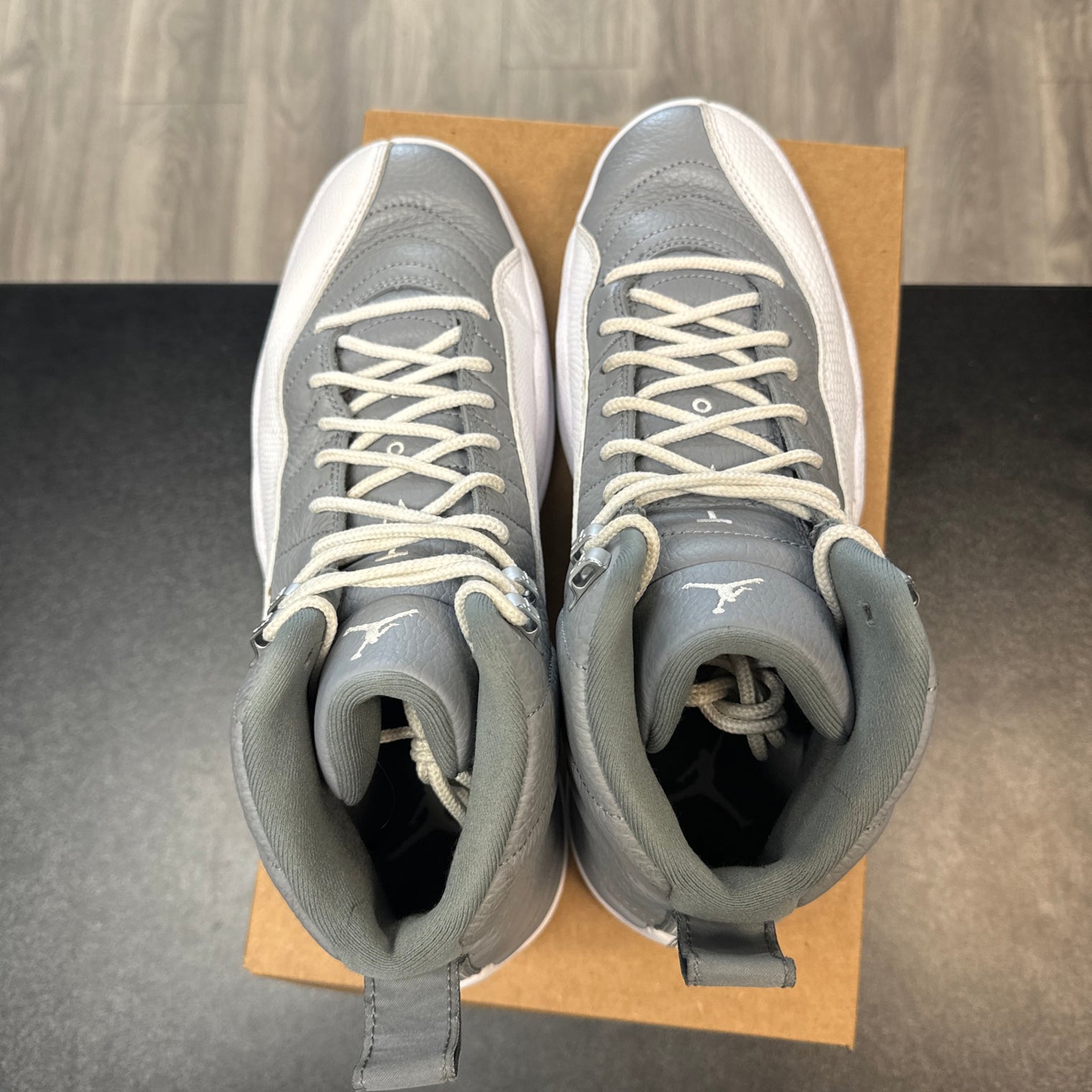 Stealth Jordan 12 (USED, No Box)