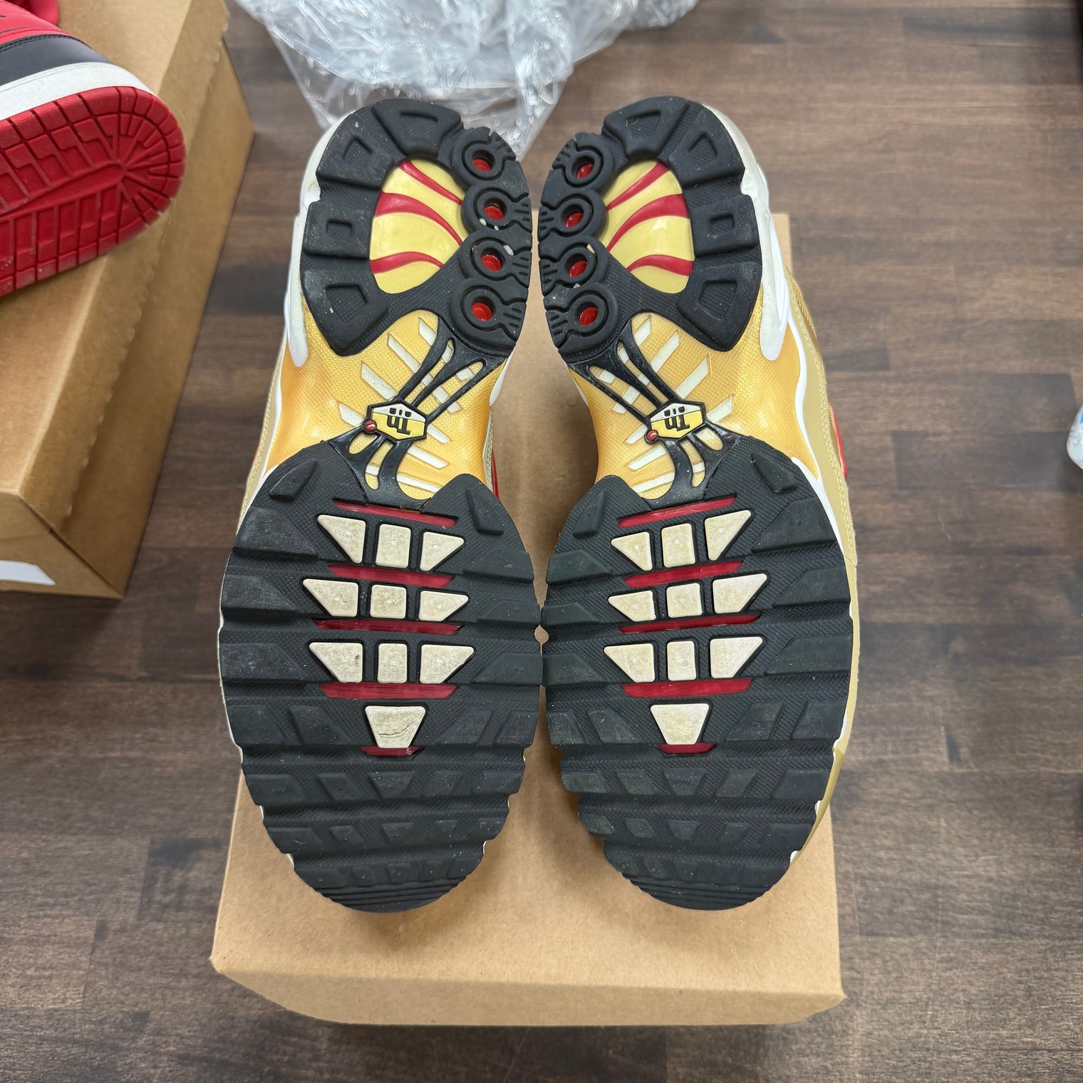 Metallic Gold Air Max Plus (USED, No Box)