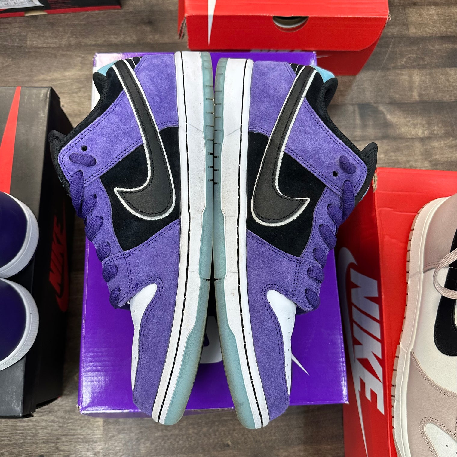 Hayley Wilson Nike SB Dunk Low (USED)