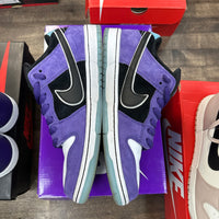 Hayley Wilson Nike SB Dunk Low (USED)