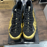 Metallic Gold Nike Foamposite Pro (USED)