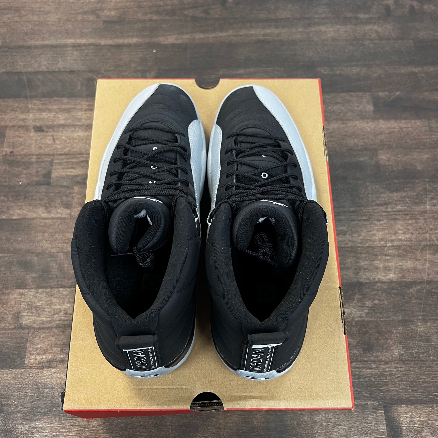 Baron Jordan 12 (USED)