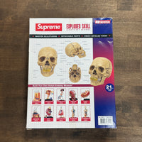 Supreme 4D Model Human Skull Natural (Sealed)