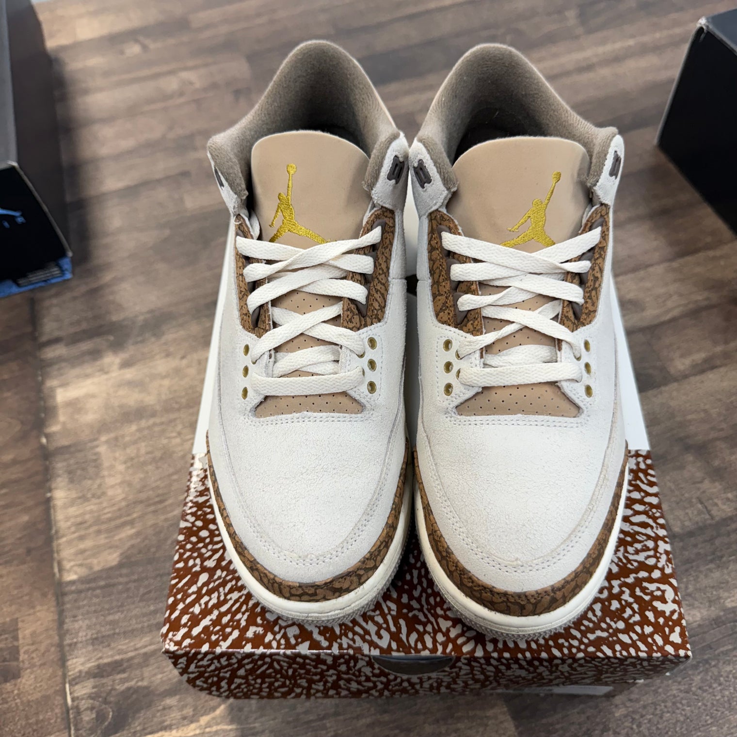 Palomino Jordan 3 Retro (USED)