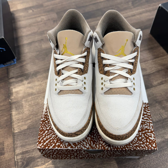 Palomino Jordan 3 Retro (USED)