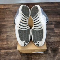 Stealth Jordan 12 (USED,No Box)