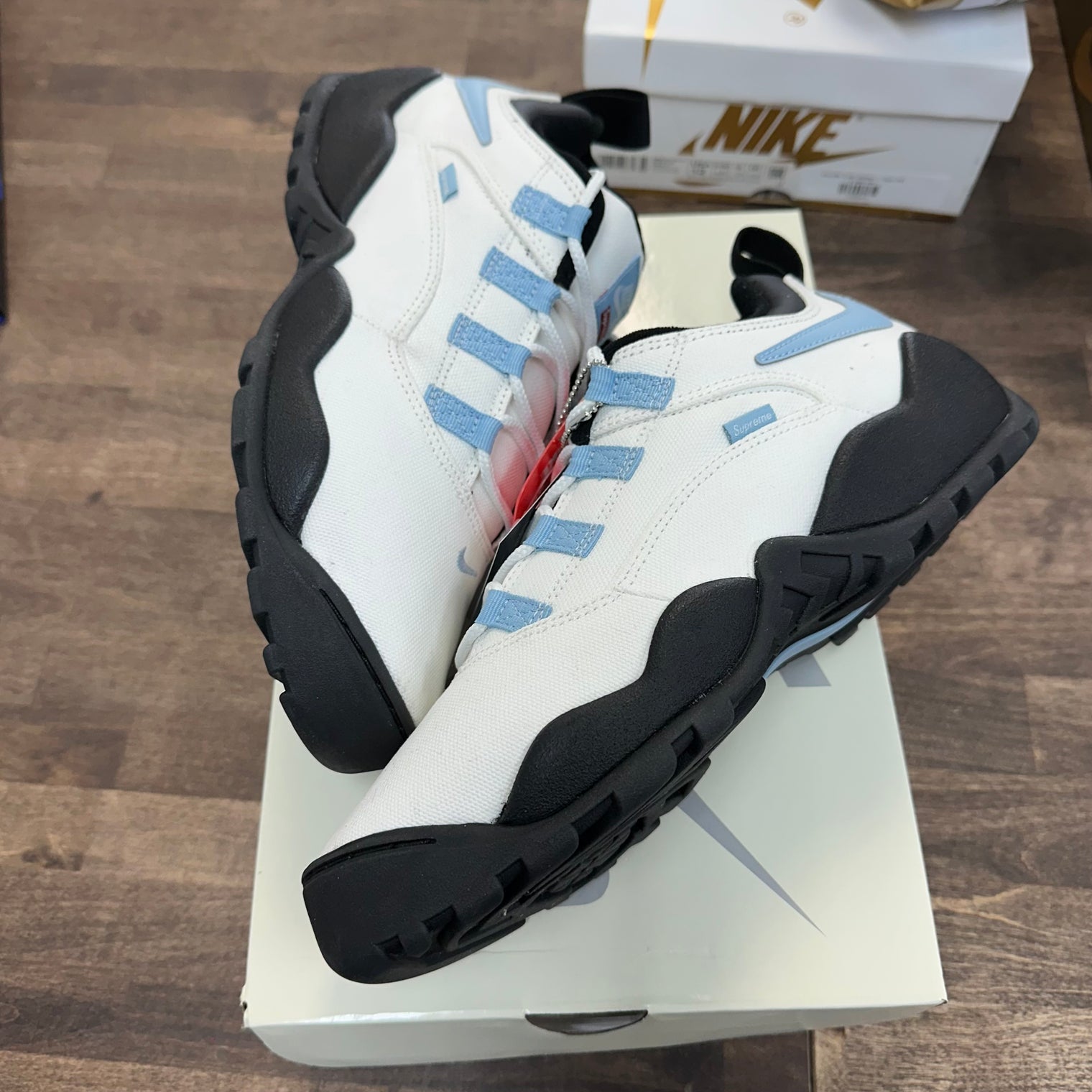 Supreme Darwin SB Low (USED)