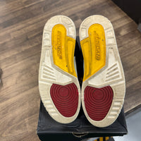 Animal Instinct 2.0 Jordan 3 Retro SE (USED)