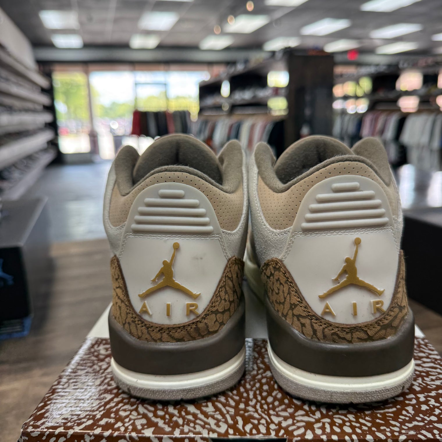 Palomino Jordan 3 Retro (USED)
