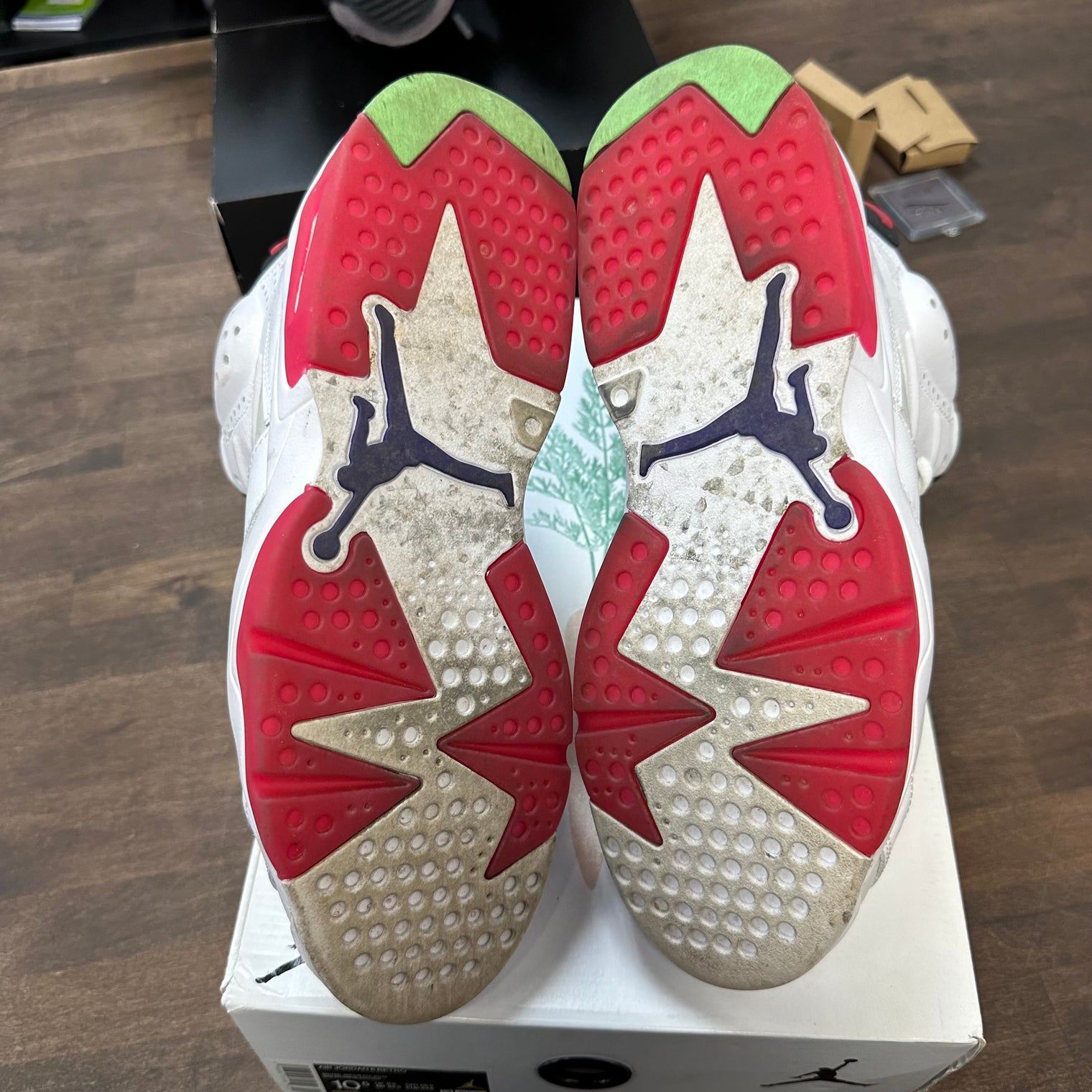 Hare Jordan 6 (USED)