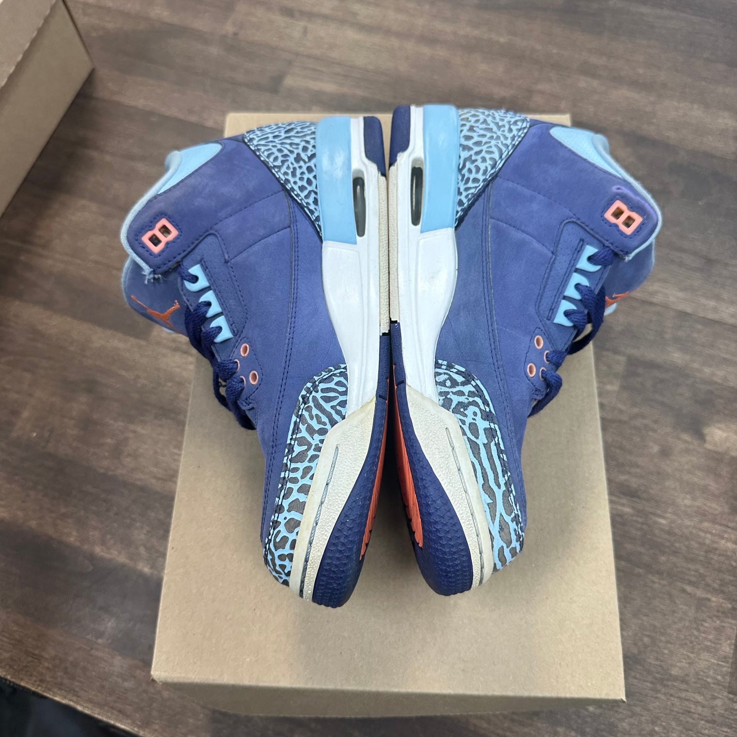 Purple Dust Jordan 3 (GS) (USED, No Box)