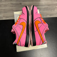 Powerpuff Blossom SB Dunk Low (USED)
