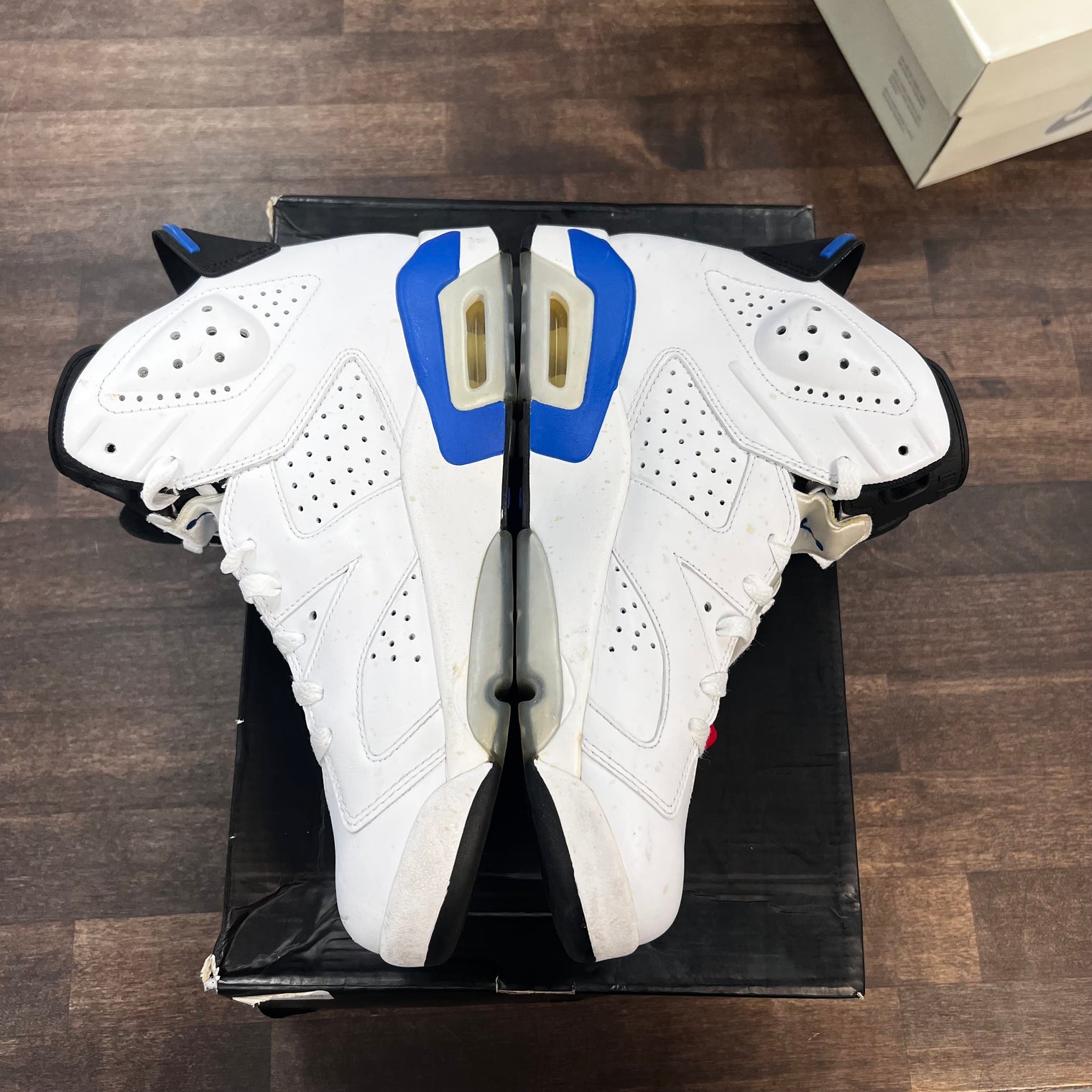 Sport Blue Jordan 6 (USED)