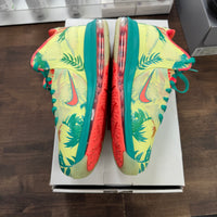 Lebronald Palmer LeBron 9 Low (USED)