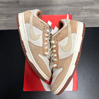 Curry Nike Dunk Low (USED)