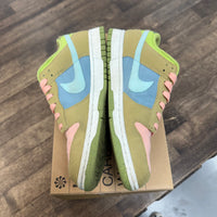 Sun Club Arctic Orange Nike Dunk Low Next Nature (USED)